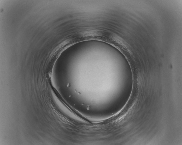 X0000074290825200609011405