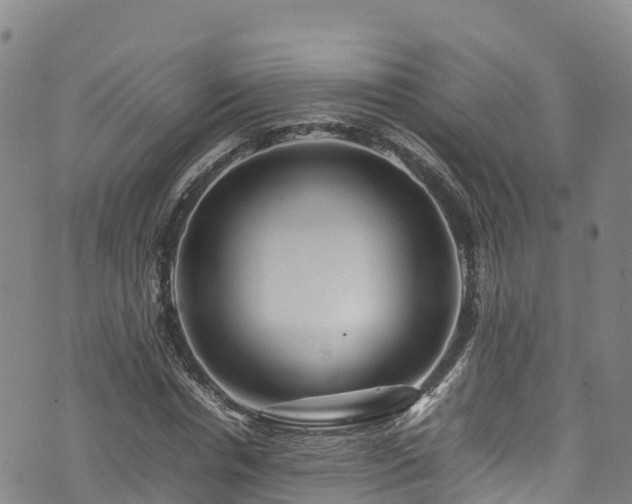 X0000074290826200609011405