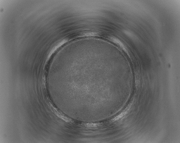 X0000074290827200609011405