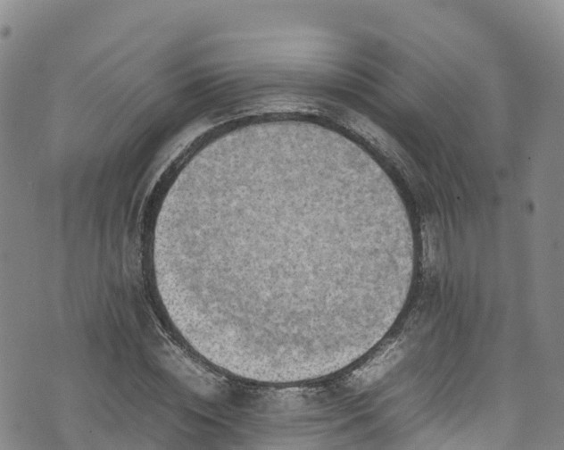 X0000074290828200609011405