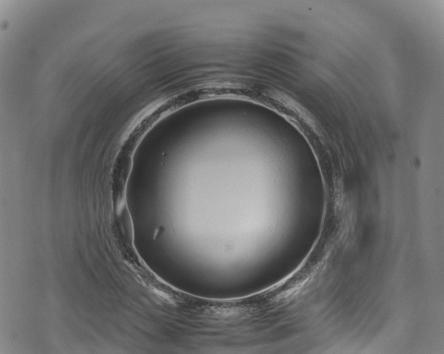 X0000074290829200609011405