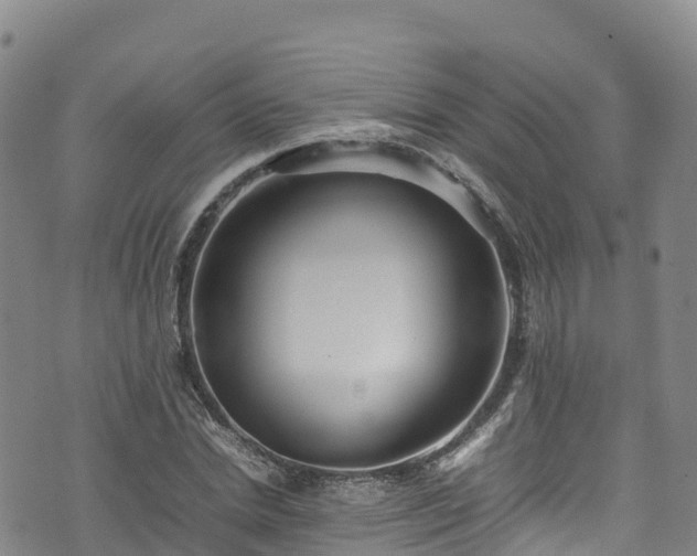 X0000074290830200609011405