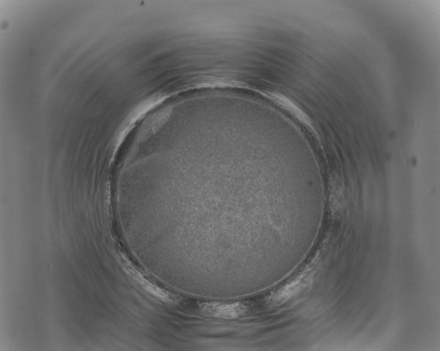 X0000074290831200609011405