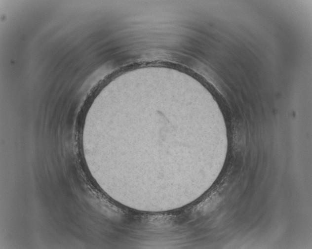 X0000074290832200609011405