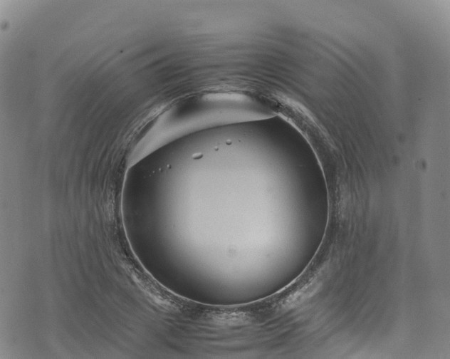 X0000074290833200609011405