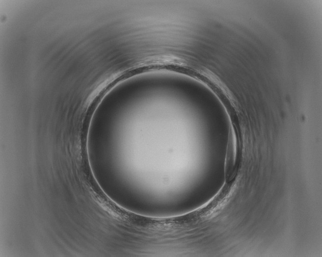 X0000074290834200609011405