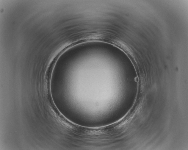 X0000074290835200609011405