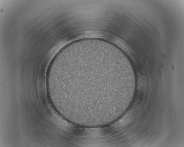 X0000074290836200609011405