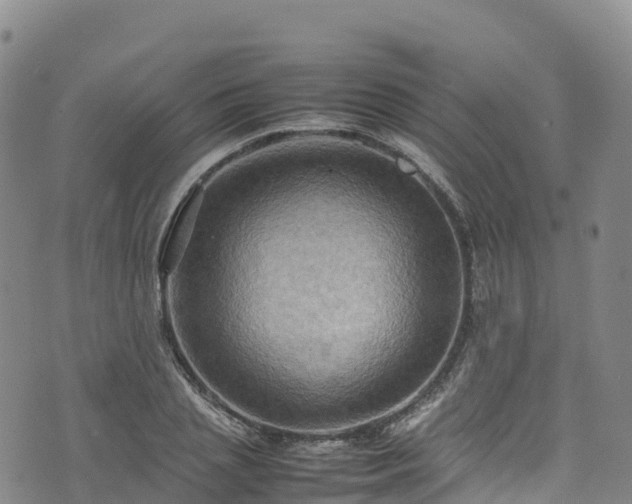 X0000074290837200609011405