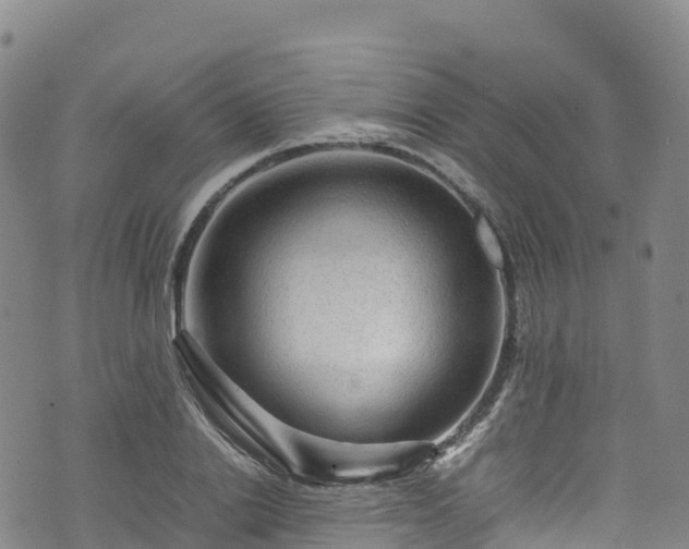 X0000074290838200609011405