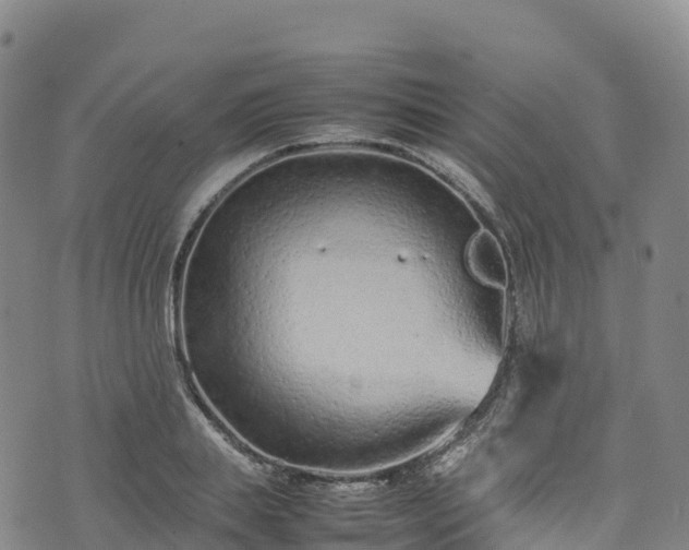 X0000074290839200609011405