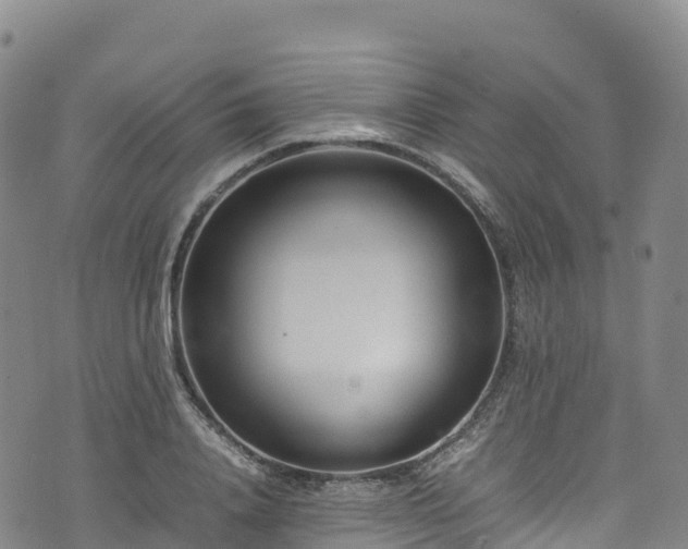 X0000074290840200609011405