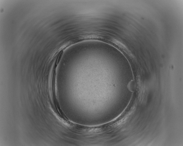 X0000074290841200609011405