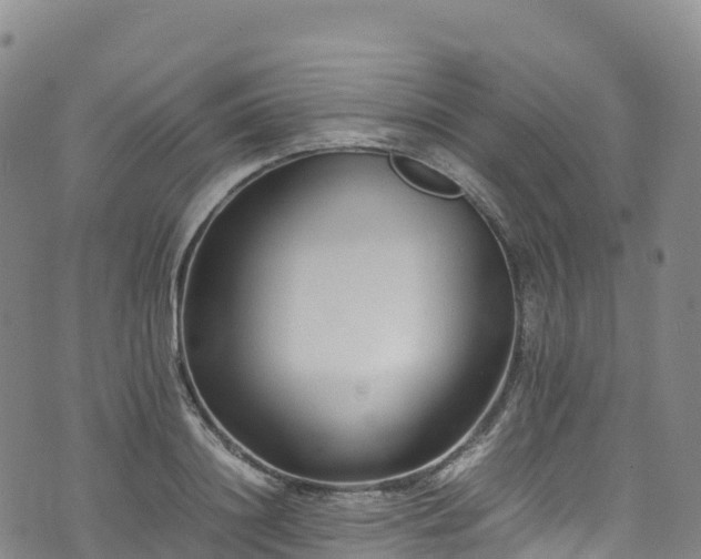 X0000074290844200609011405