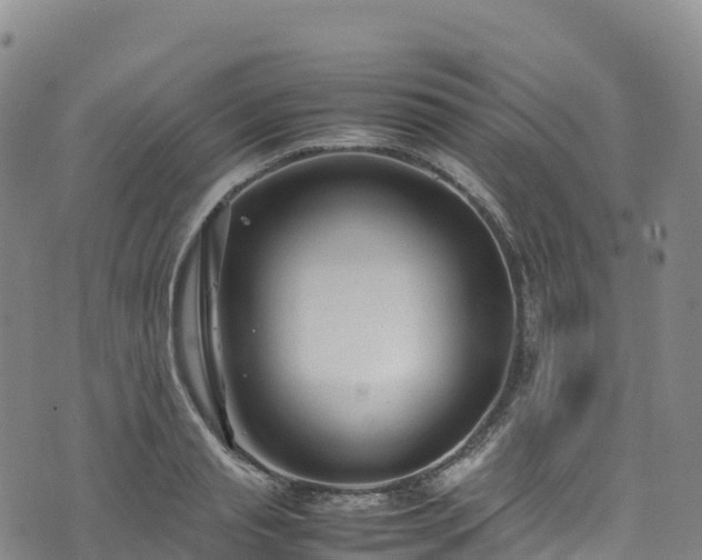 X0000074290845200609011405