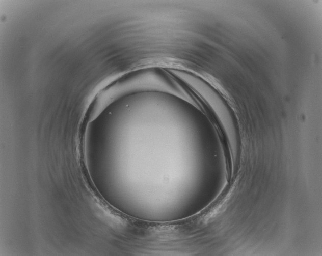 X0000074290846200609011405