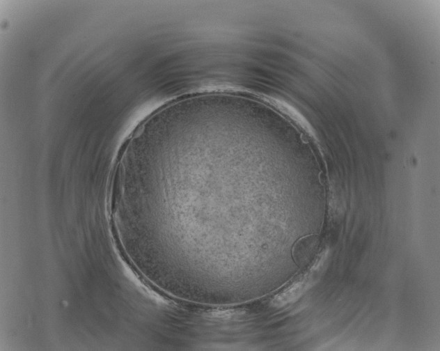 X0000074290847200609011405