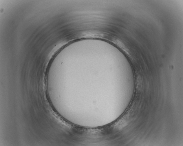 X0000074290848200609011405