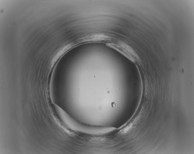 X0000074290850200609011405