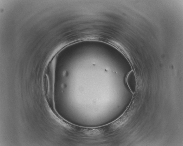 X0000074290851200609011405