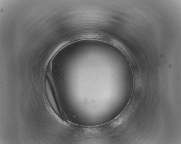 X0000074290852200609011405