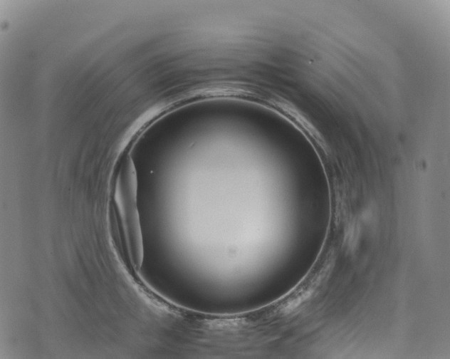 X0000074290853200609011405