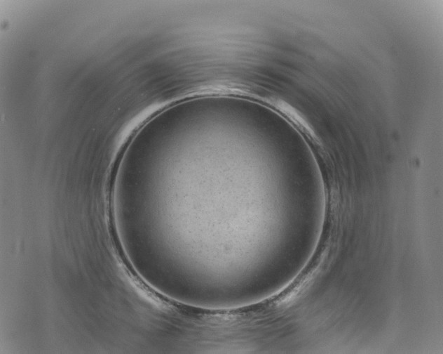 X0000074290854200609011405