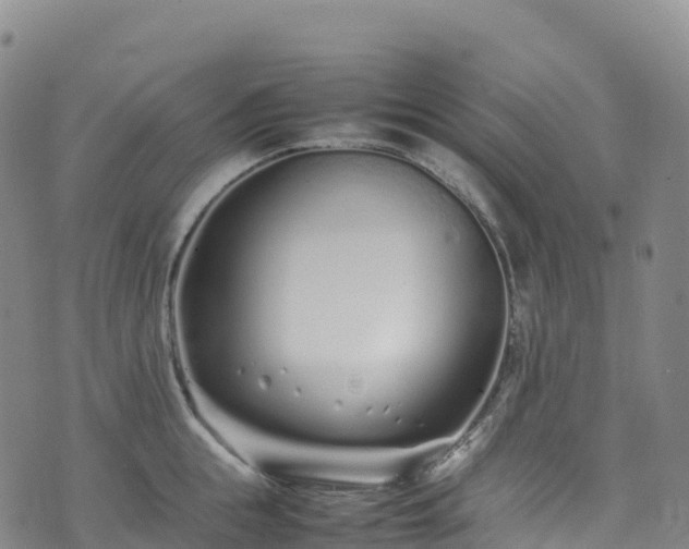 X0000074290855200609011405