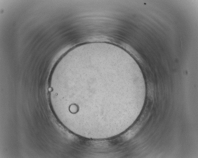 X0000074290856200609011405