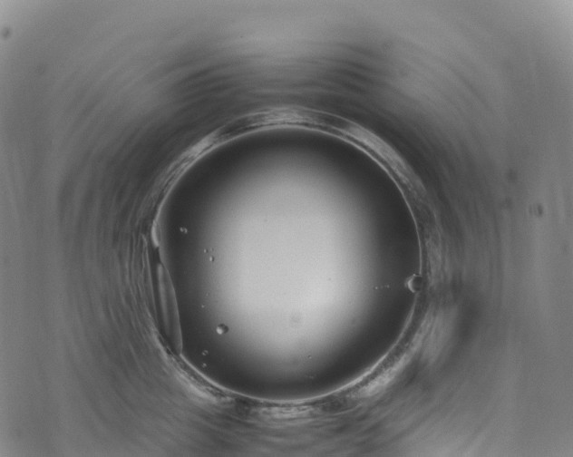 X0000074290857200609011405