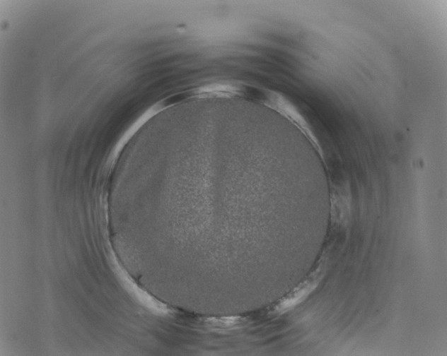 X0000074290859200609011405