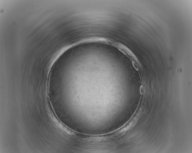 X0000074290860200609011405