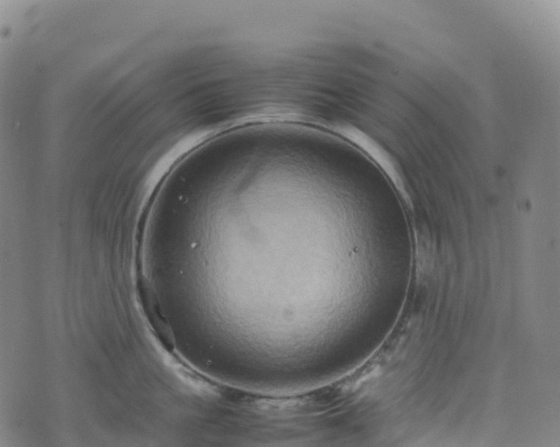 X0000074290861200609011405