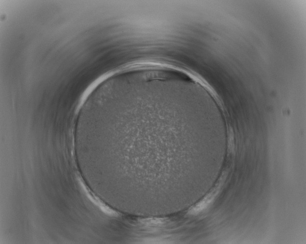 X0000074290862200609011405