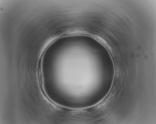 X0000074290863200609011405