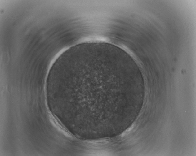 X0000074290864200609011405