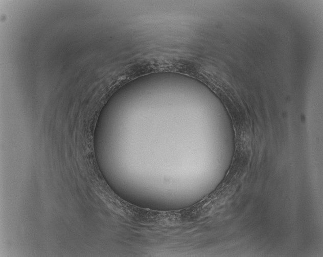 X0000074290865200609011404