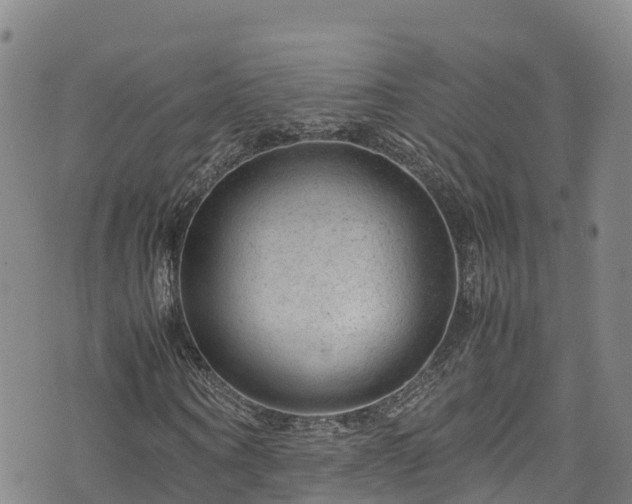 X0000074290866200609011404