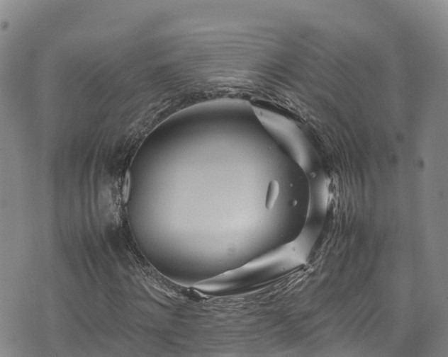 X0000074290868200609011404