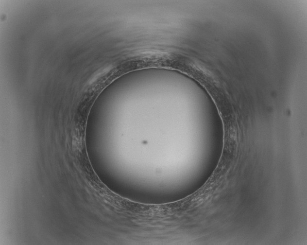 X0000074290869200609011404