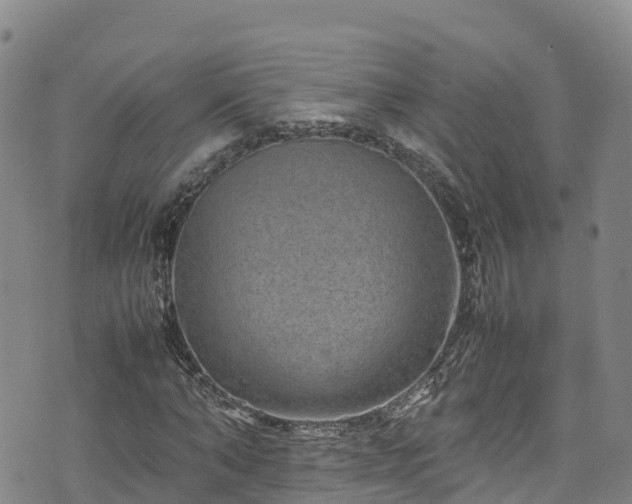 X0000074290870200609011404