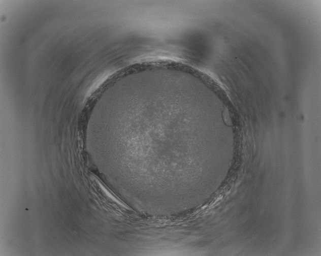 X0000074290871200609011404