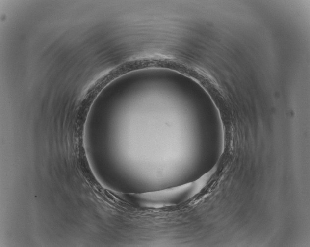 X0000074290872200609011404