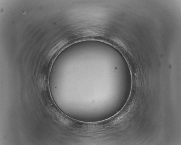 X0000074290873200609011404