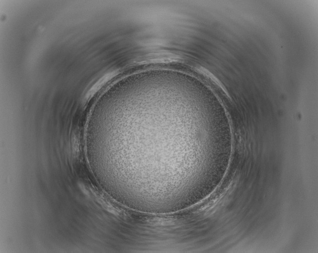 X0000074290874200609011404