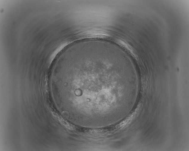 X0000074290875200609011404