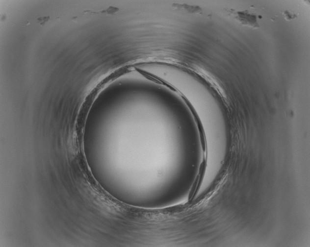 X0000074290876200609011404