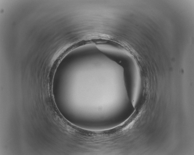 X0000074290877200609011404