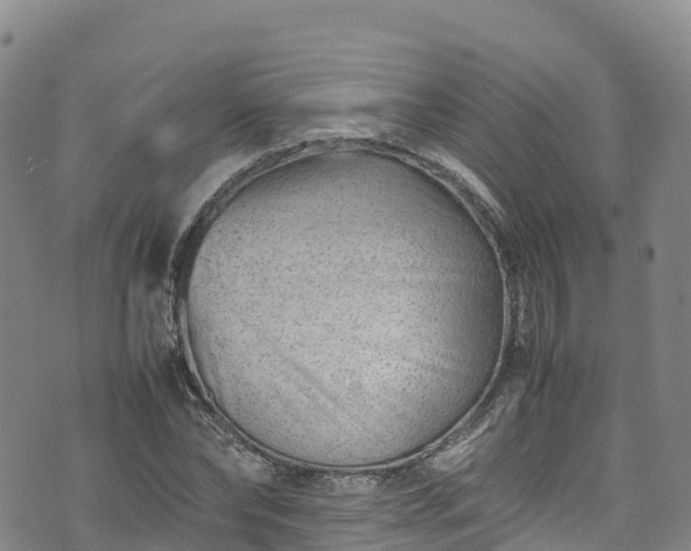 X0000074290878200609011404