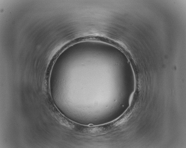 X0000074290879200609011404